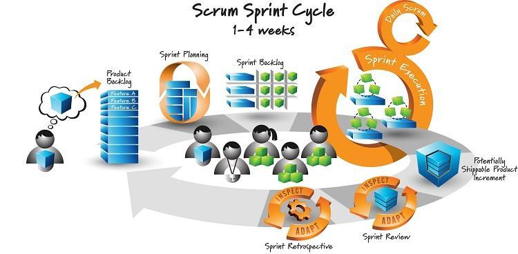 A Escala Scrum: Como Aplicar Scrum em Grandes Equipes
